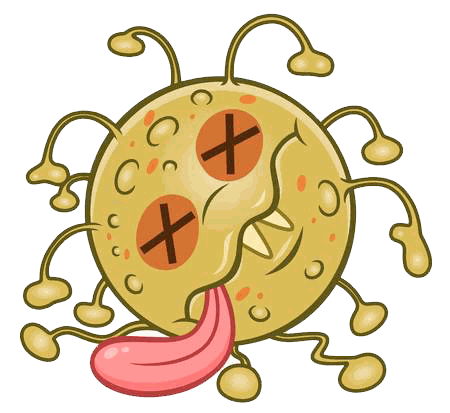 Odoo text and image block